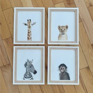 Set of 4 Animal Portrait Framed Prints